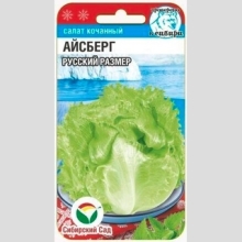 Салат Айсберг Русский размер
