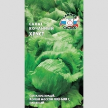 Салат Хруст (айсберг)