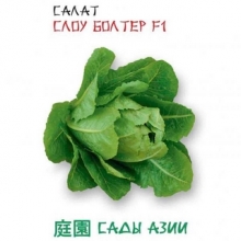 Салат Слоу болтер F1