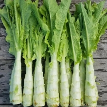 Салат Спаржевый Уйсун