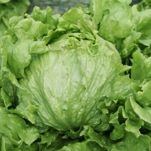 Салат Тарзан