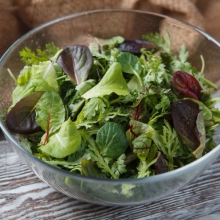 Смесь салатных культур Толедо