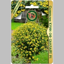 Санвиталия Куин оф Санлайт F1