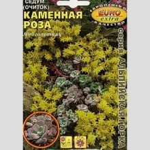 Седум Каменная роза (очиток)