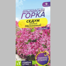 Седум Малиновый (Альпийская горка)