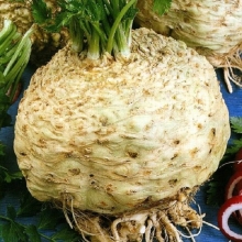 Сельдерей Пражский гигант (корневой)