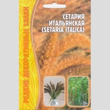 Сетария Итальянская (большой пакет)
