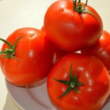 Томат Северный экспресс F1