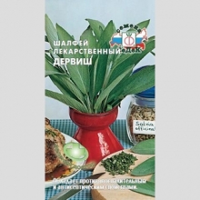 Шалфей Дервиш