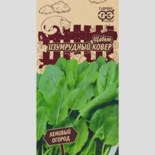 Щавель Изумрудный ковер