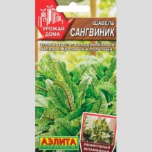 Щавель Сангвиник