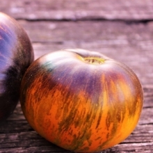 Томат Аппетитные щечки