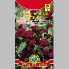 Шпинат Земляничный