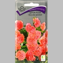 Шток-роза Лососево-розовая