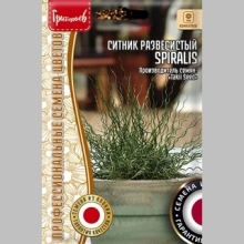 Ситник Spiralis развесистый (большой пакет)