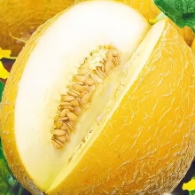 Дыня Сладкая Неженка