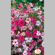 Смолевка Джамбо (небесная роза, смесь цветов)