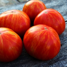 Томат Солнечная вспышка (Solar Flare)