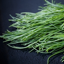 Солянка Здравница