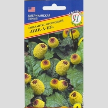 Спилантес Пик-А- Бу