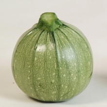 Кабачок Мячик