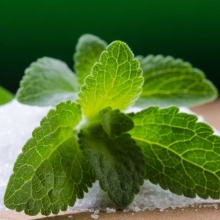 Стевия Детскосельская