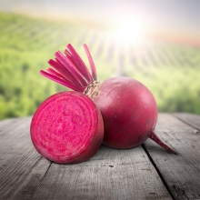 Свекла Ред Клауд F1