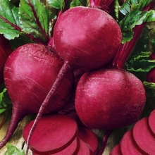 Свекла Ларка