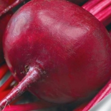 Свекла Несравненная А463