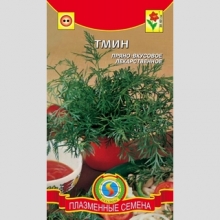 Тмин