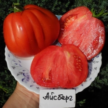 Томат Айсберг