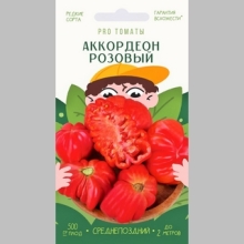 Томат Аккордеон розовый (Pink Accordion)