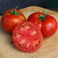 Томат Александр Великий F1