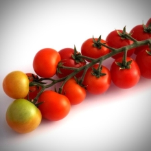 Томат Бамбино F1