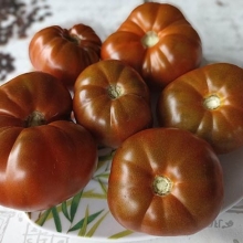 Томат Дом Арлин (Arlene’s House) (большой пакет)