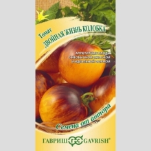 Томат Двойная жизнь колобка