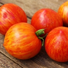 Томат Гандольф (Gandolf)