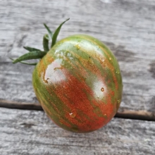 Томат Гном Круглый Робин (Dwarf Round Robin)