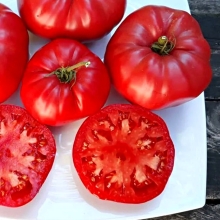 Томат Итальянский гигант миссис Бот (Mrs. Bot`s Italian Giant)