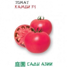 Томат Камби F1