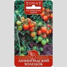 Томат Ленинградский холодок