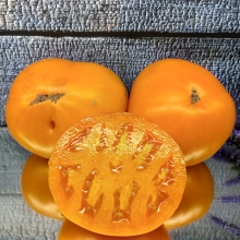 Томат Минусинское Манго (большой пакет)