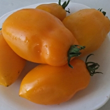 Томат Минусинские Стаканы Жёлтые (большой пакет)