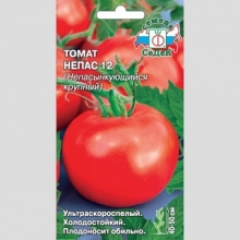 Томат Непас-12 Непасынкующийся крупный