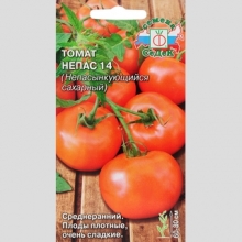 Томат Непас-14 Непасынкующийся Сахарный