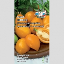 Томат Непас- 5 Непасынкующийся оранжевый с носиком