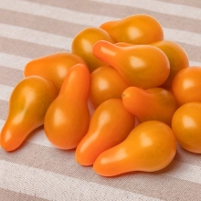 Томат Оперино F1