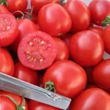 Томат Семеновна (большой пакет)