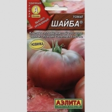 Томат Шайба