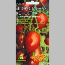 Томат Шоколадная конфетка